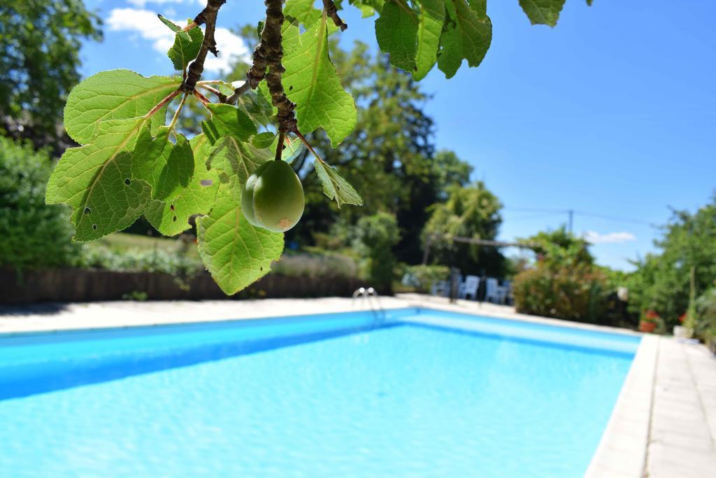 Loupiac  Camping Chez Francis B&B 외부 사진